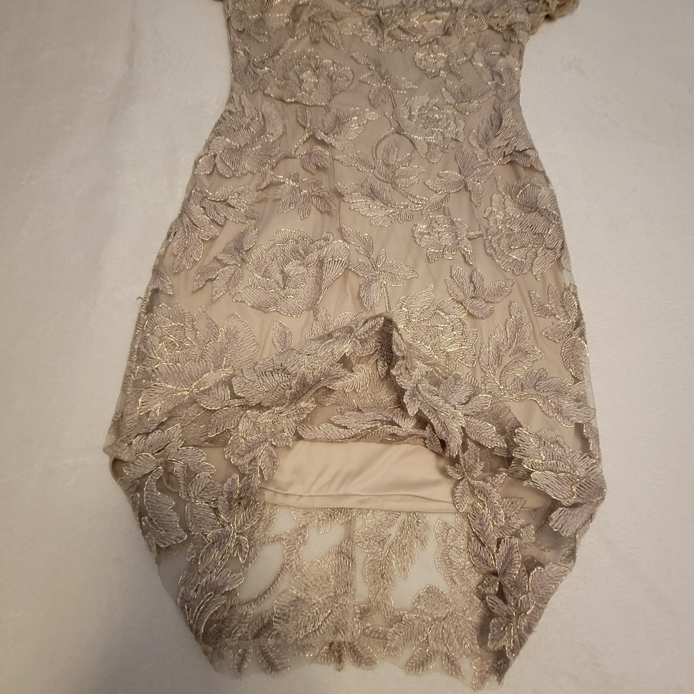 Tadashi Shoji Sz 8 Maci Gold Lace V-Neck Floral Embroidered Lined Cocktail Dress - Picture 9 of 16